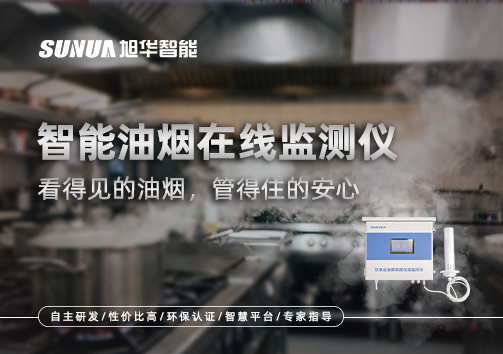 智能油烟在线监测仪：看得见的油烟，管得住的安心